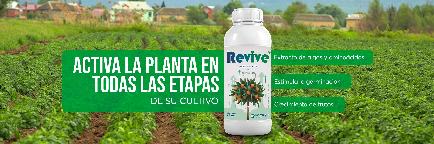 BANNER-INNOVAGRO-REVIVE 48
