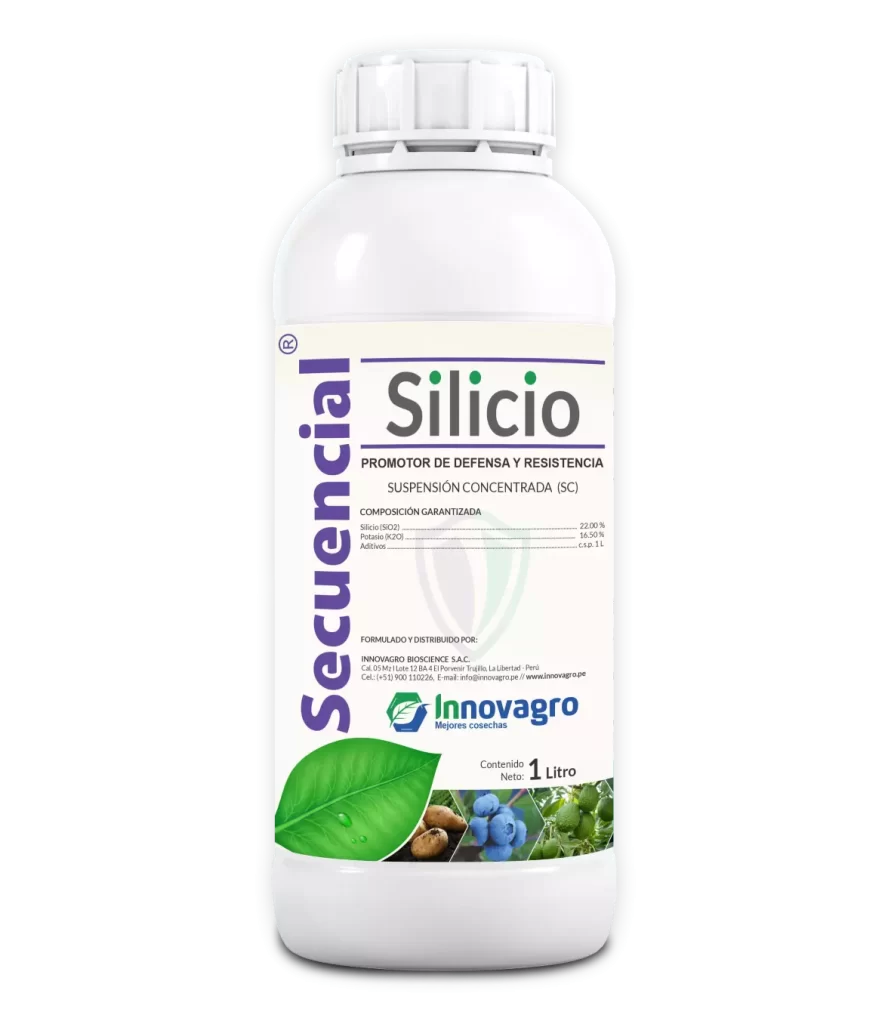 Secuencial Silicio