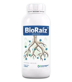 bioraiz