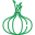 cebolla