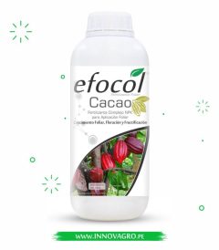 efocol_cacao.jpg
