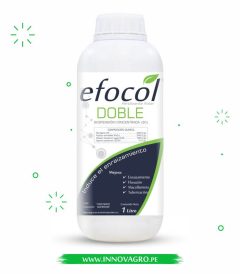 efocol_doble.jpg
