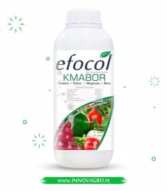 efocol_kmabor.jpg