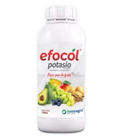 efocol_potasio