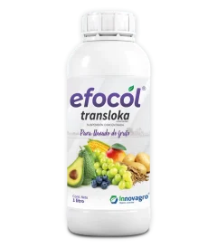 efocol_transloka