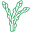 esparragos