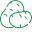 patata