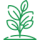 planta