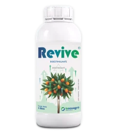 revive